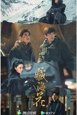 青青草久久视频在线 - 小骚B在线观看